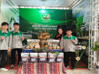 Dự án "Xanh O+ Nông nghiệp tuần hoàn" dấu ấn khởi nghiệp đổi mới sáng tạo của Trường Cao đẳng Cao Bằng tại SV-STARTUP 2026